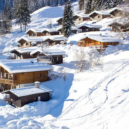 Oberhof Apartamento *